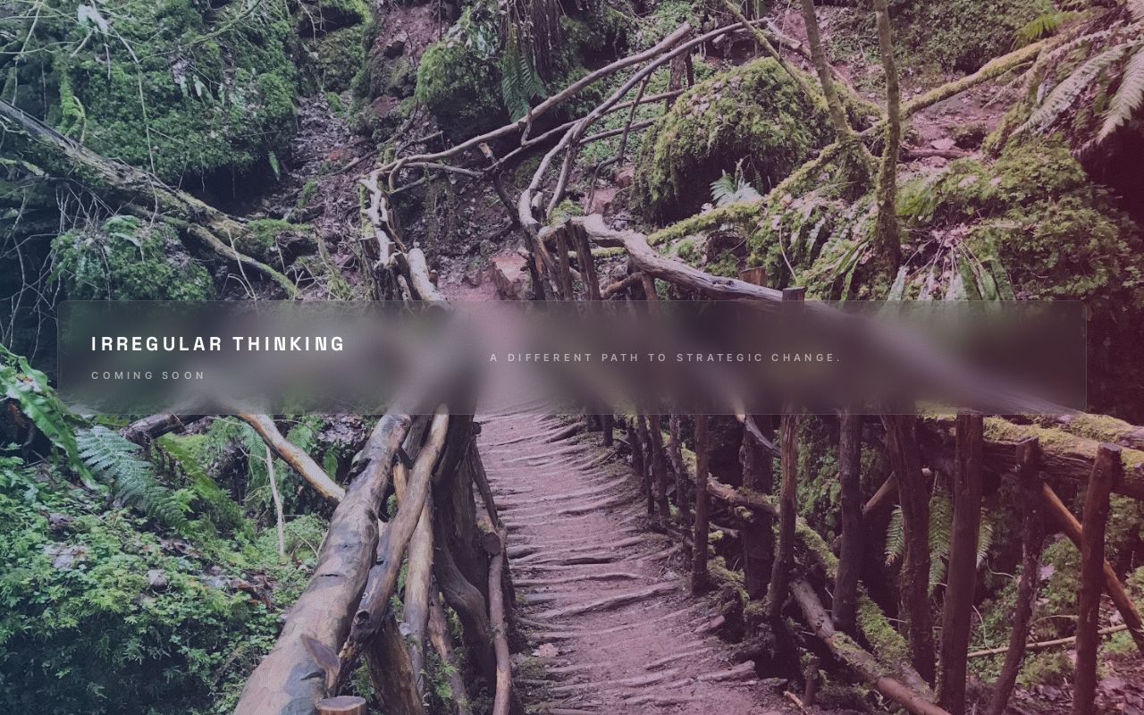 Irregular Thinking